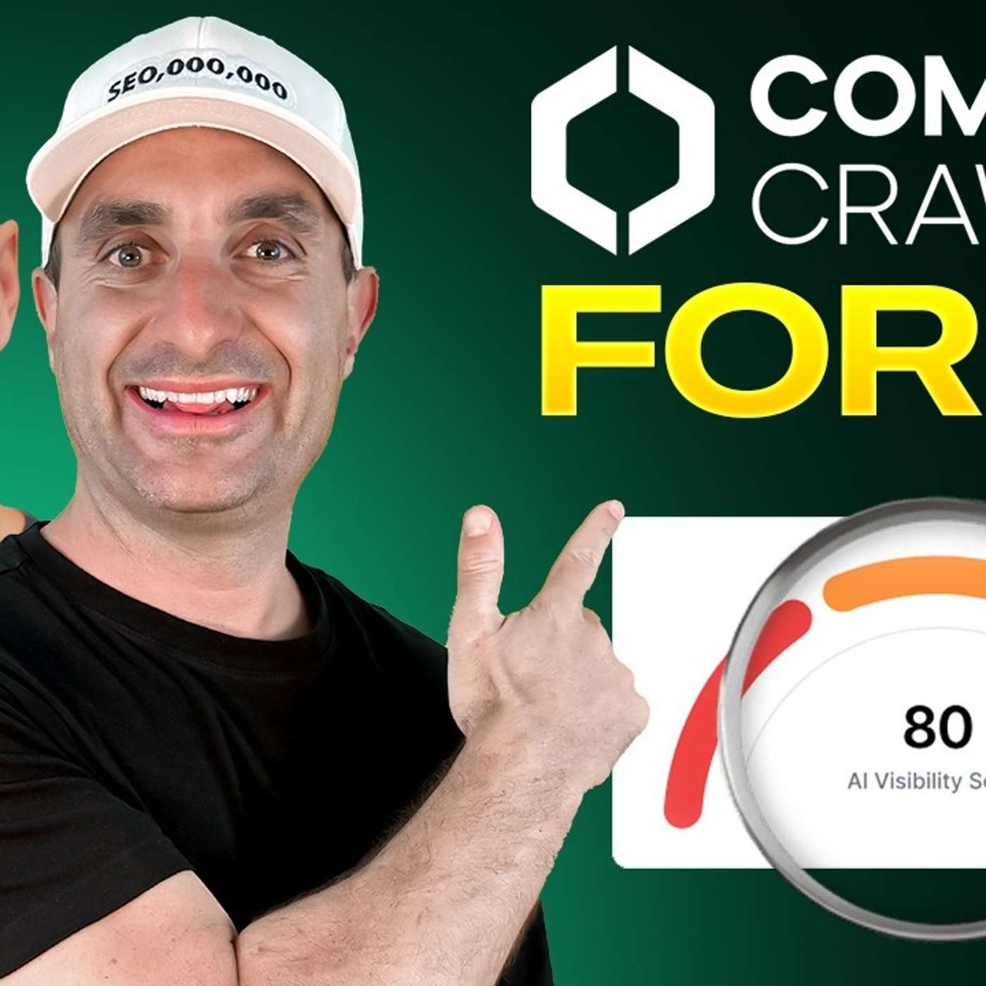 Everything You Need to Know About Common Crawl For AI Visibility (James Dooley Interviews Stephen Burns)